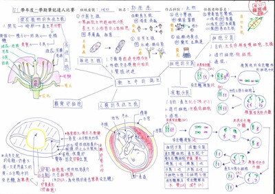111學年度第一學期筆記達人特優作品