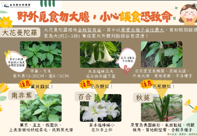 宣導「不採、不食野生不明動植物」，敬請師長同學留意圖片