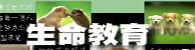 生命教育學會(另開新視窗)